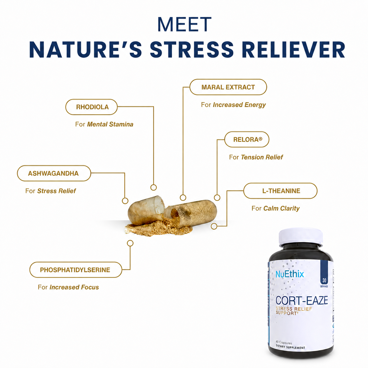 Cort-Eaze Stress & Recovery Support