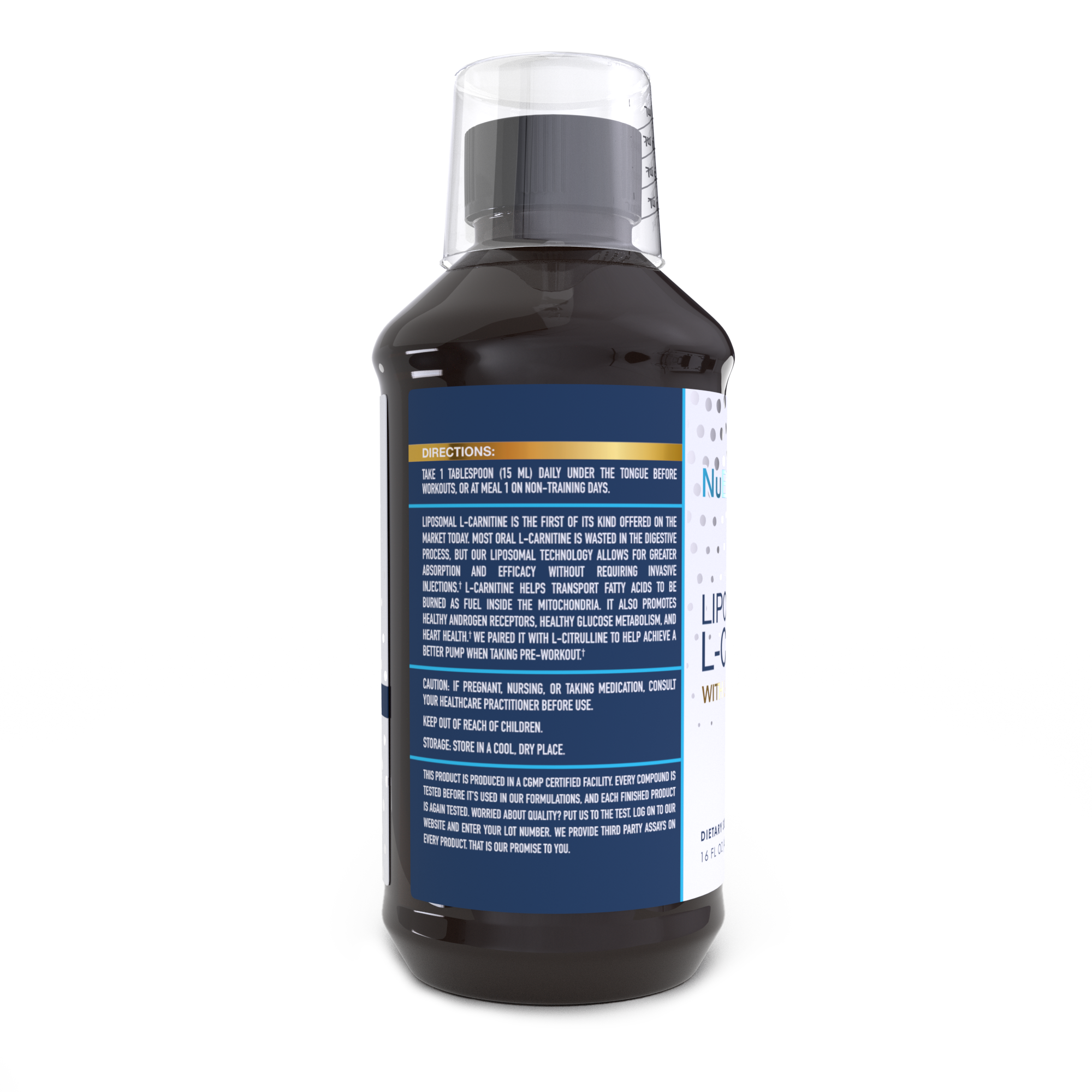 Liposomal L-Carnitine NuEthix Formulations Liposomal L-Carnitine NuEthix Formulations
